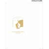 Пакет бум. 170 г/м2 4+0 + ламинация 1ст. + люверсы + ручки  300*210*80мм (вертикальный), 100шт.